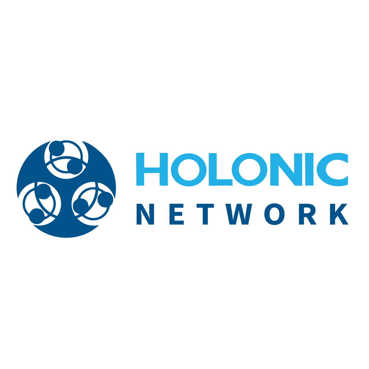 Holonic Network Srl SB