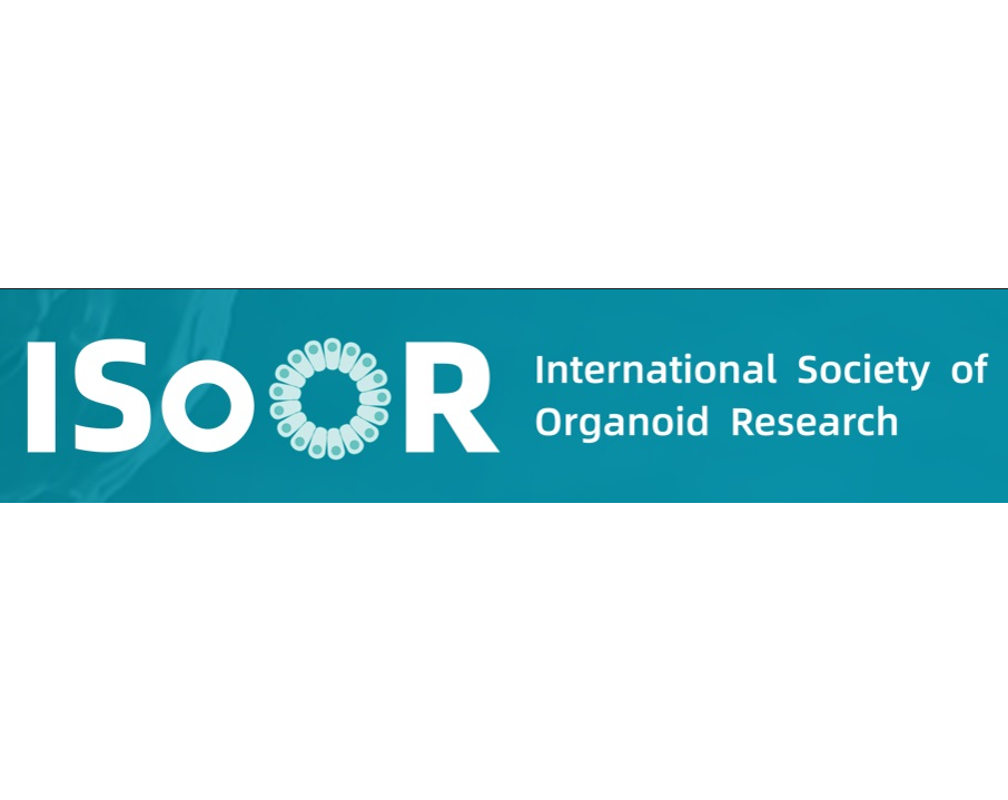 International Society of Organoid Research